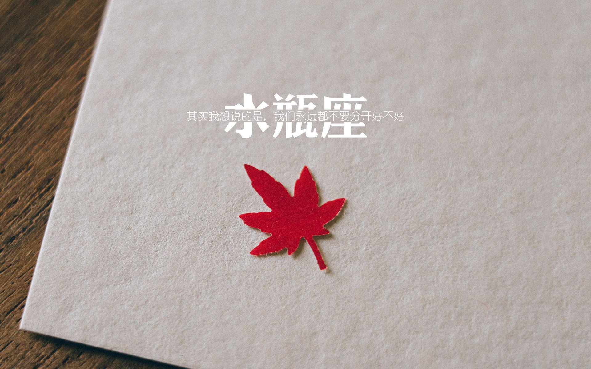 开云下载-绿茵场与红色浪潮，当东契奇的光芒照进上海队的夜晚，雄鹿的叹息在彼岸回荡