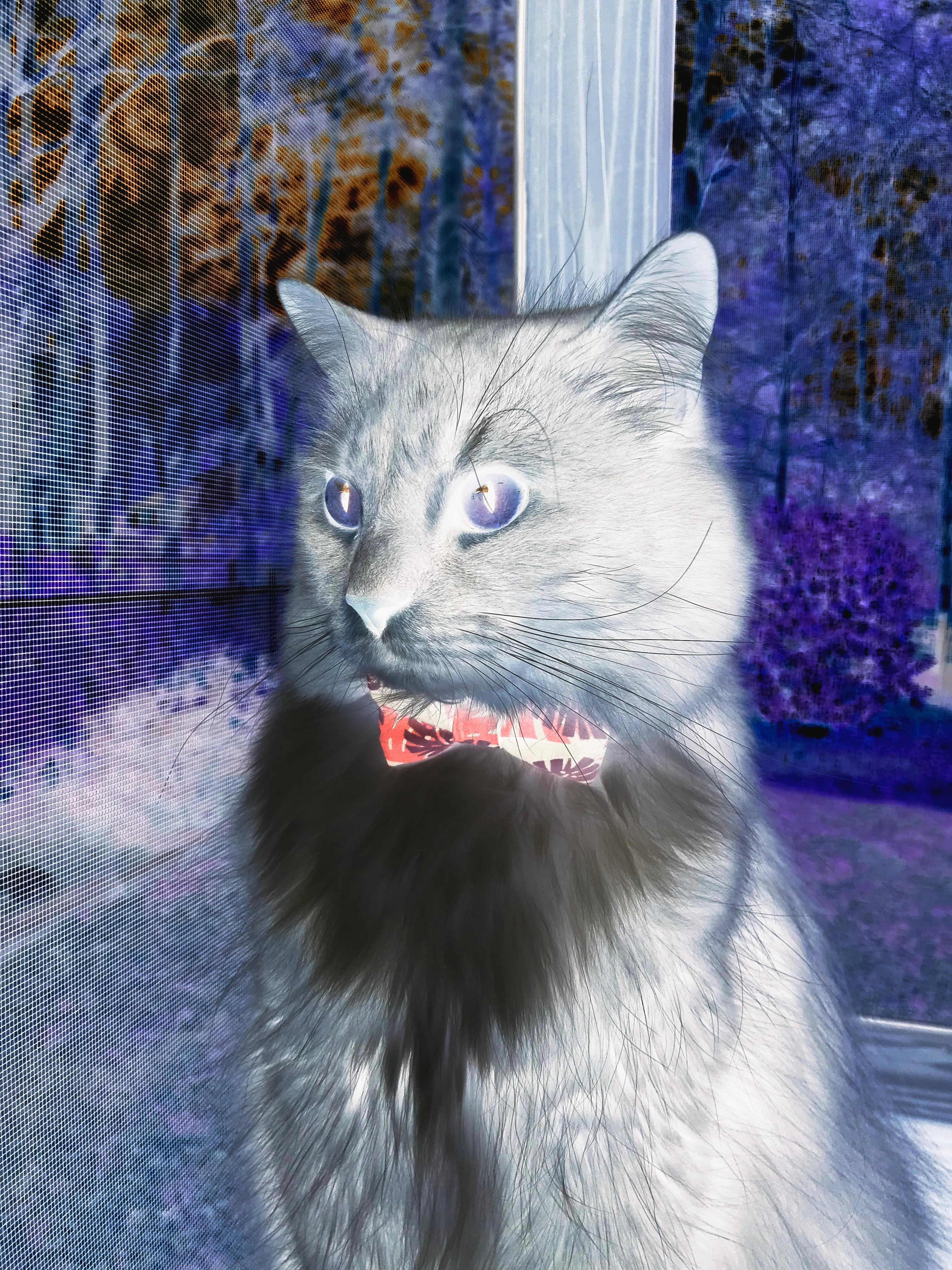 中美篮球大战黑马逆袭，小贾伦爆发助爵士带走广东，连续得分奠定胜局