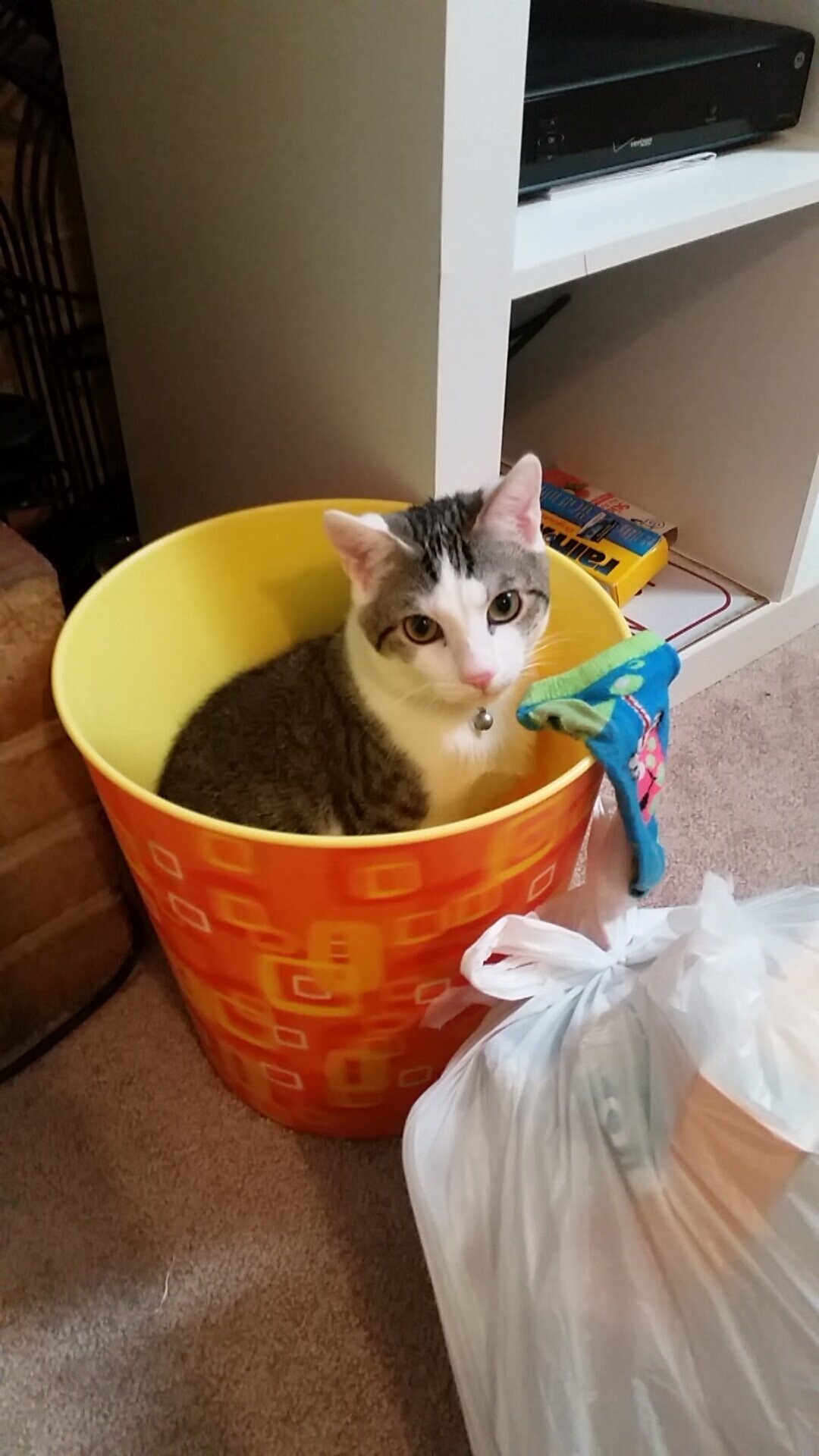 绿茵场上的疆域之战,新疆联队粉碎印第安纳步行者