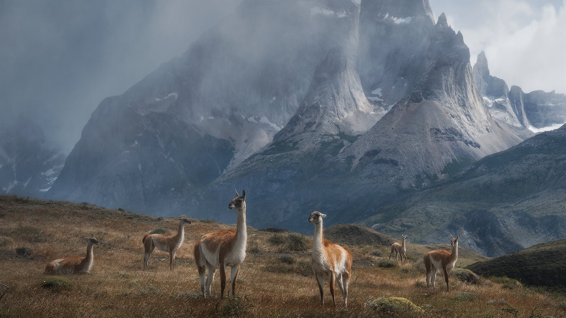 跨界爆发,当莫兰特点燃布鲁克林,篮网如何强势收割费城?