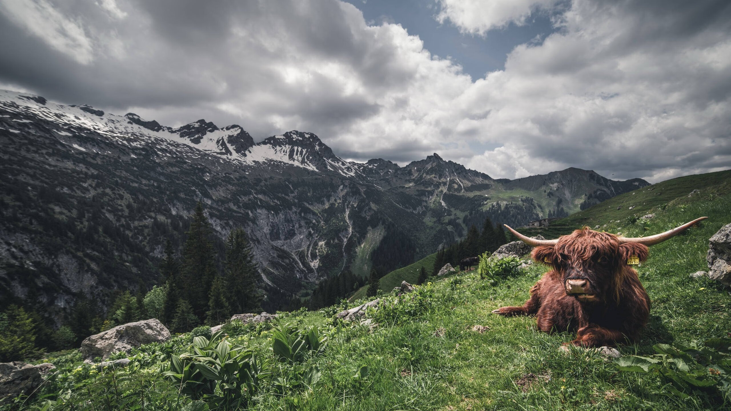 当红牛机器邂逅加勒比飓风，厄德高火烫状态照亮友谊赛的哲学意义