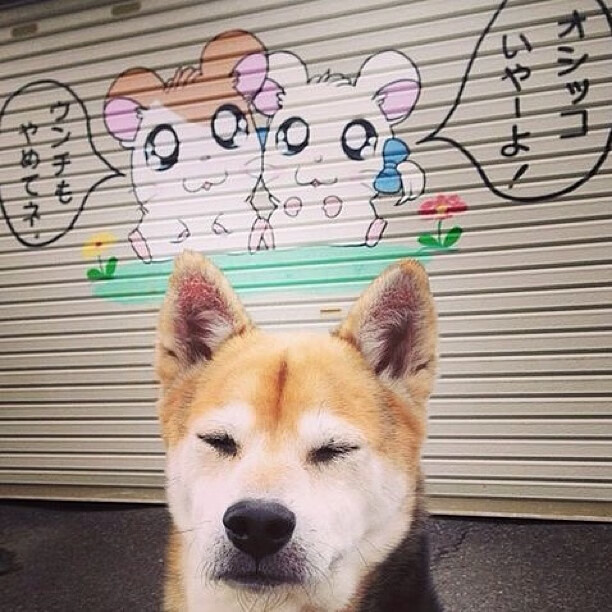 安哥拉之夜，坎特一夫当关，切尔西攻防艺术征服非洲