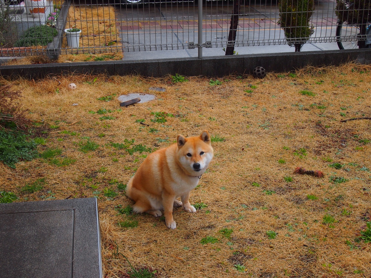 从潜力股到关键先生，英格拉姆用一场鏖战完成自我宣言