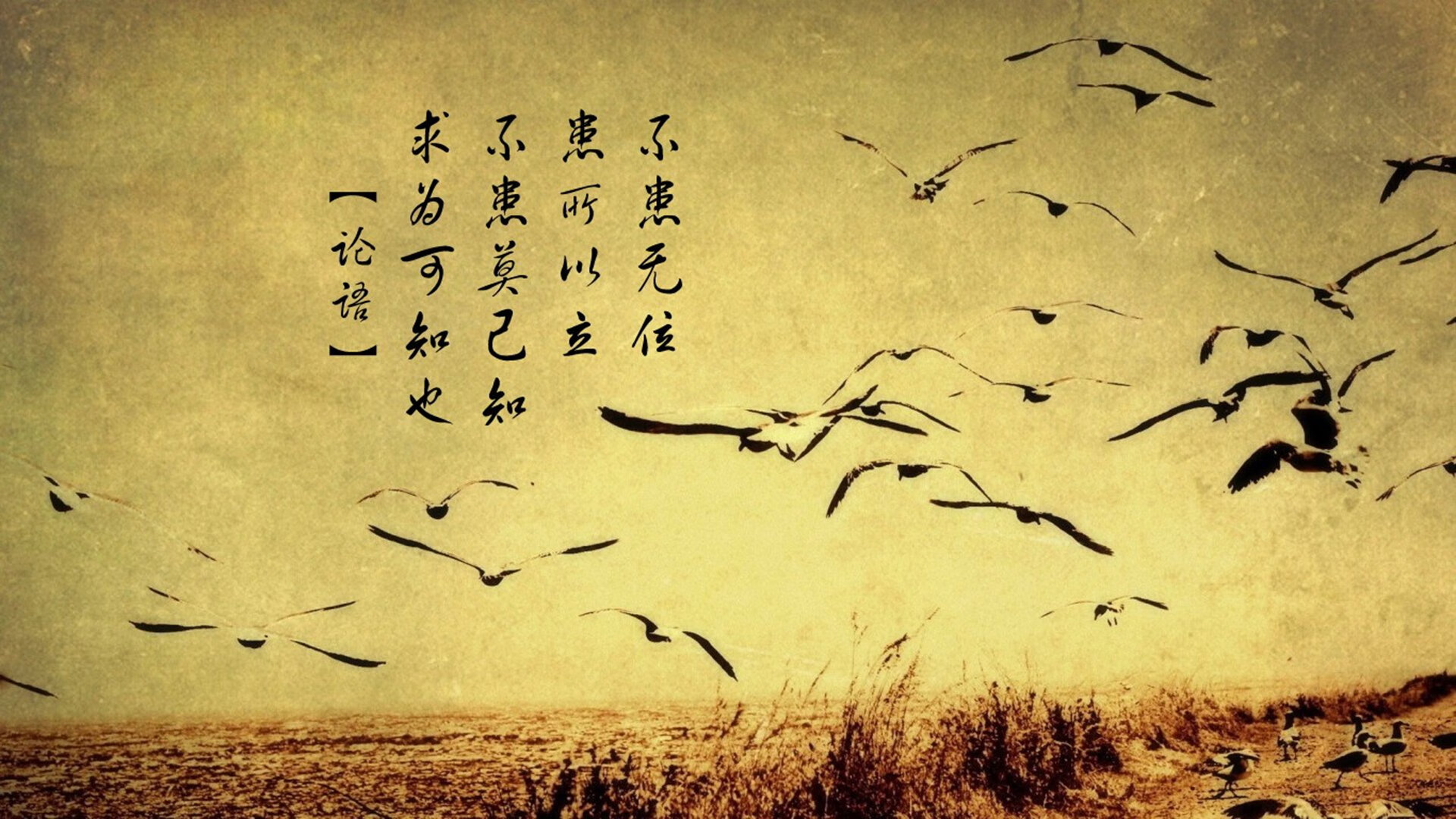 毕尔巴鄂1-0洪都拉斯竞技,莫德里奇上演中场大师课