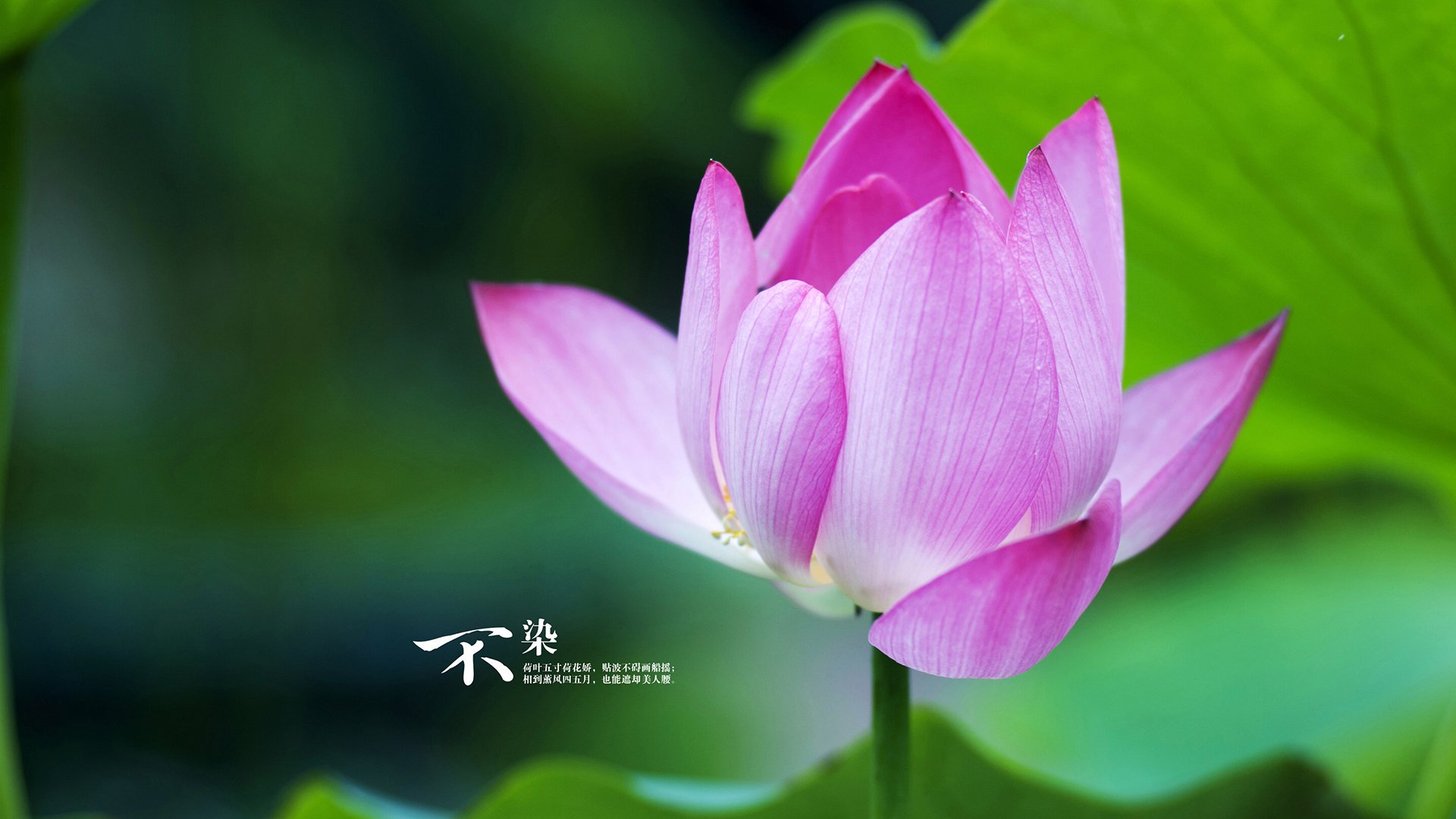 当奥运圣火照亮北欧雪原，哈兰德在非典型奥运周期的加冕之夜