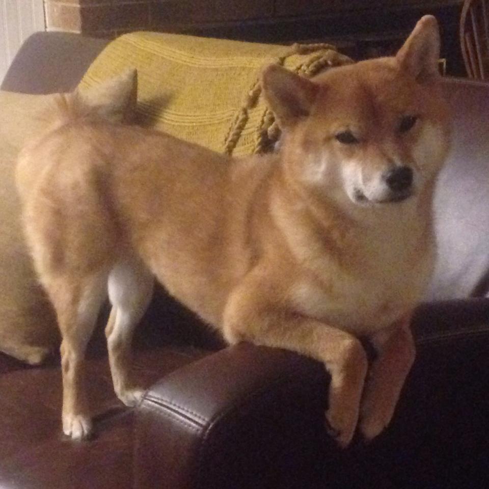 F1街道赛之夜，球不是方向盘，但厄德高开出了教科书