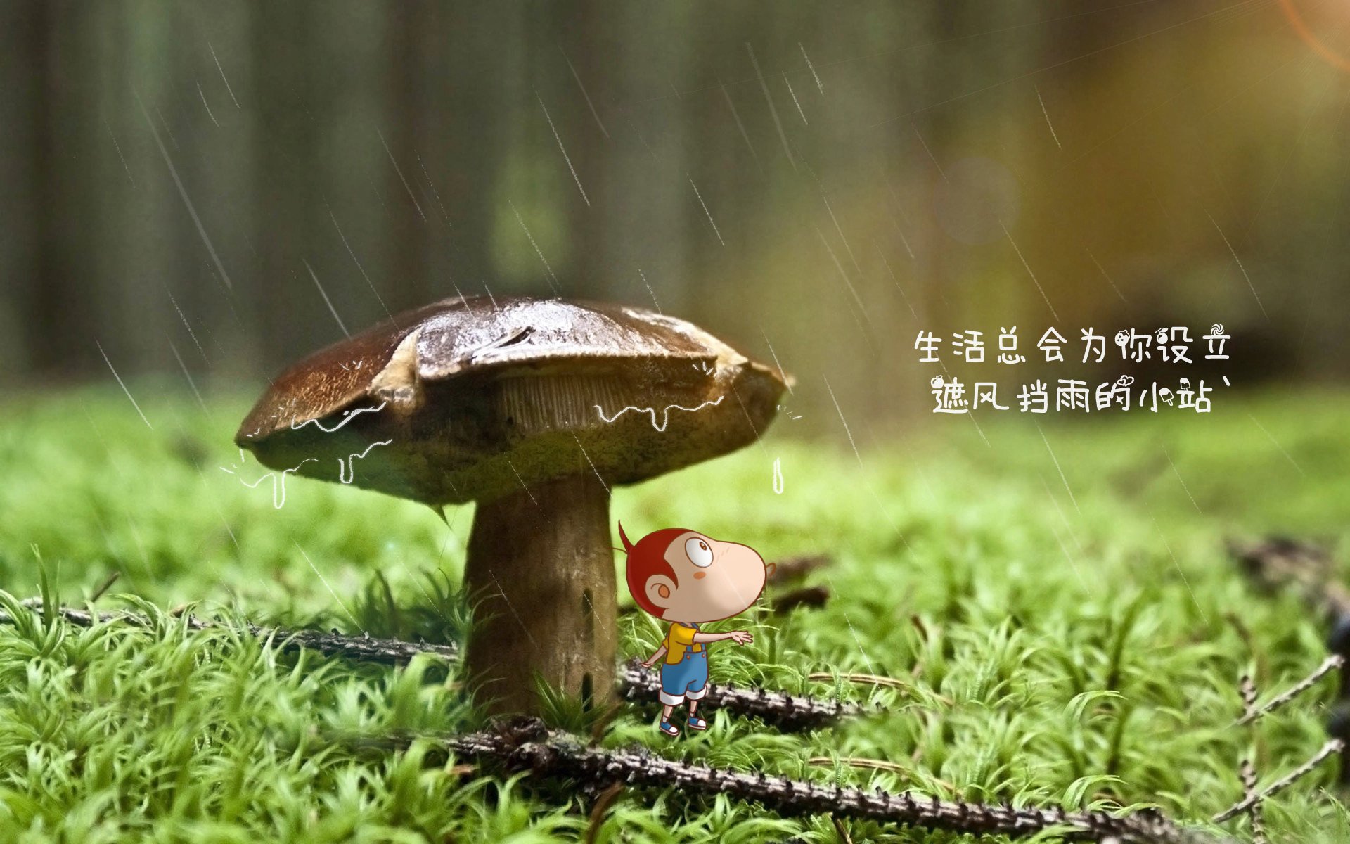 独步魔幻夜,2026世界杯C组关键战,沙特用控球魔术完胜哥伦比亚,德布劳内领航节奏浪潮