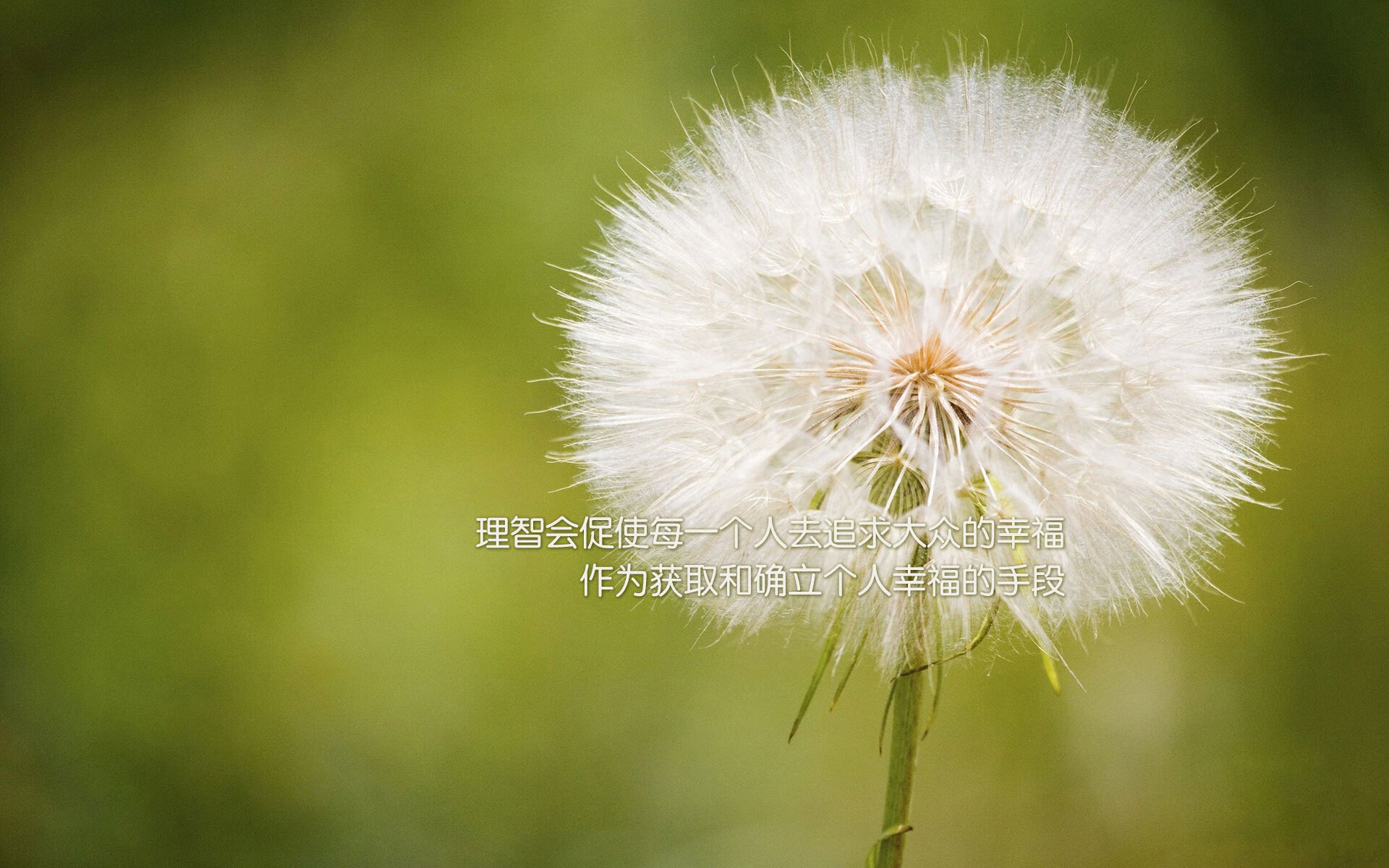 沙漠之夜的蓝白风暴，当格列兹曼的魔笛在2026世界杯A组奏响越南悲歌