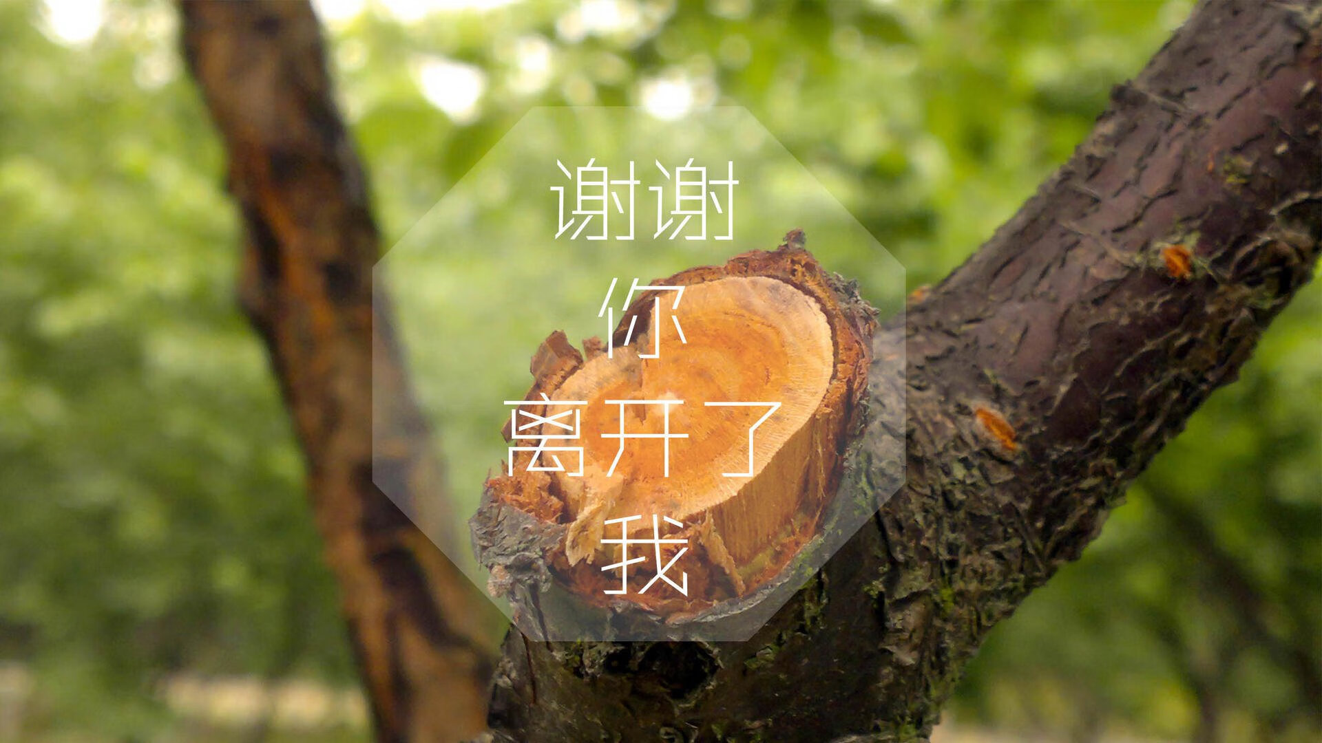 唯一性的瞬间，2026世界杯E组，巴西的碾压与卢卡库的致命一击