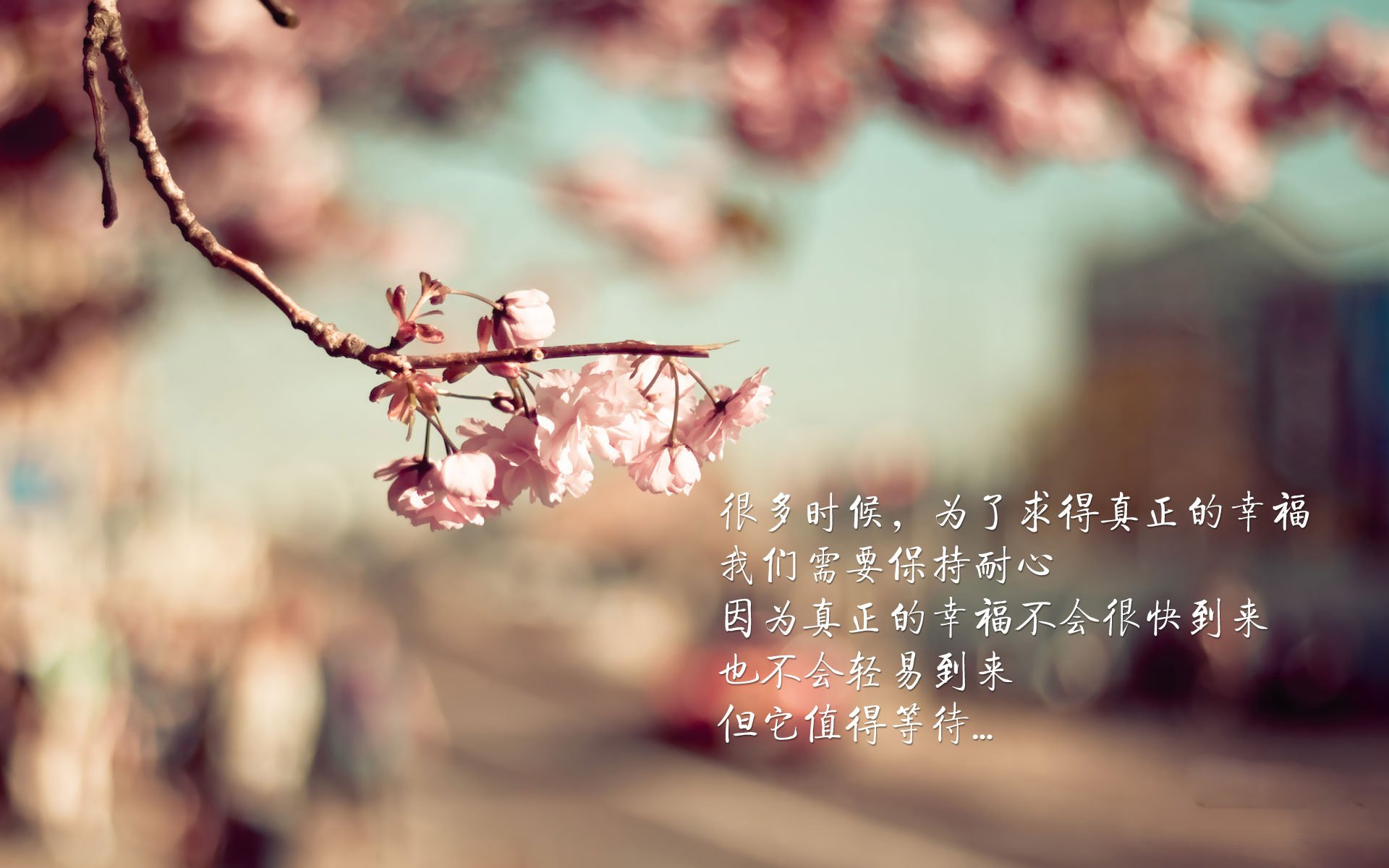 蓝衣军团陷落夜,姆巴佩的致命舞蹈与2026终极逆转,意大利为何在最接近神坛时坠入深渊
